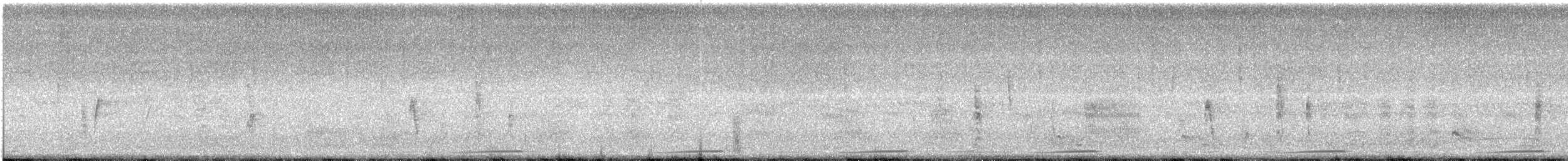 Common Ground Dove - ML65797441