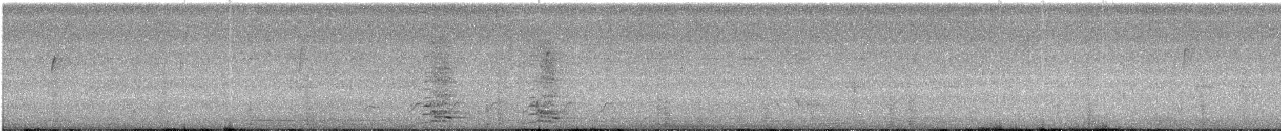 American Crow - ML65797481