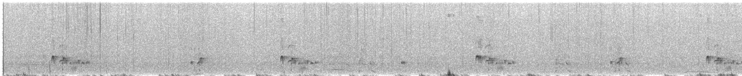Ash-throated Flycatcher - ML657983403