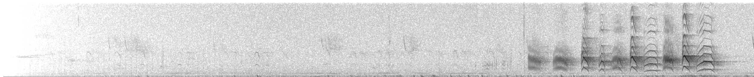 Great Kiskadee - ML657989946