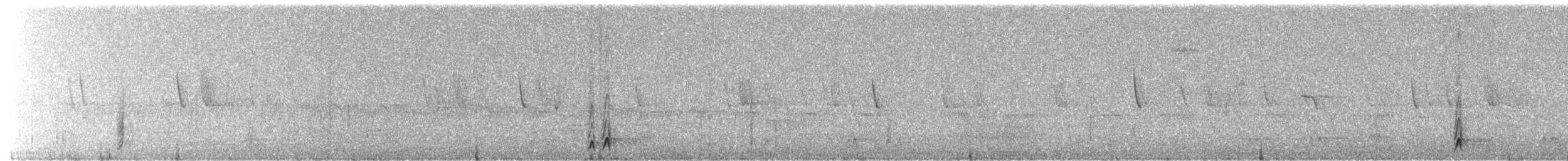 Creamy-bellied Thrush - ML657990094