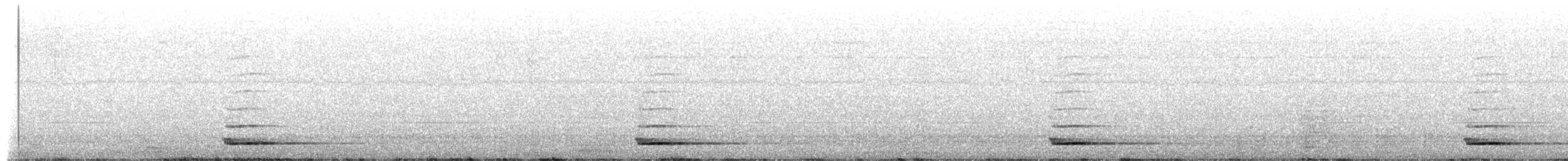 Apo-hontz arrunta - ML657990298