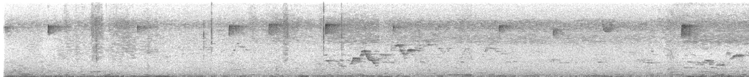 Swainson's Thrush - ML657990329