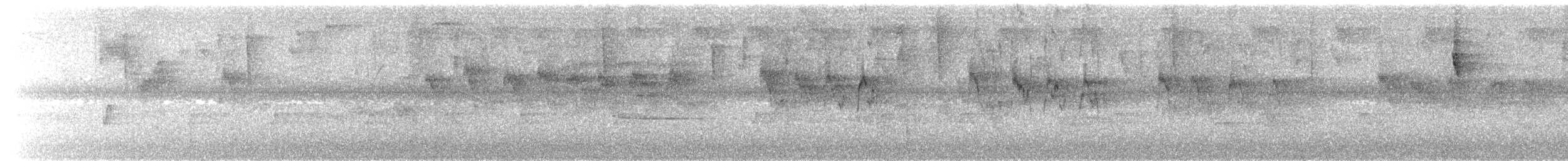 Gray-rumped Swift - ML657990360