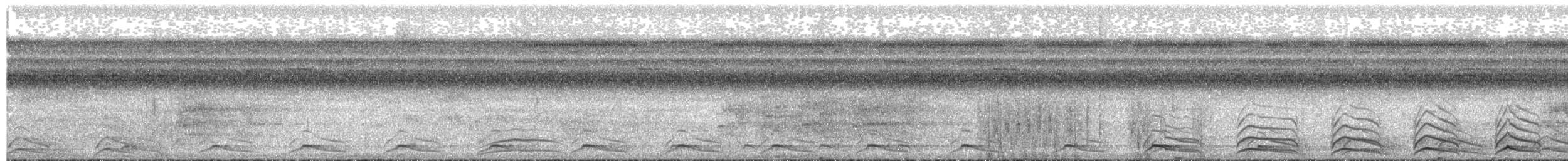 Black-tailed Trogon - ML65800721