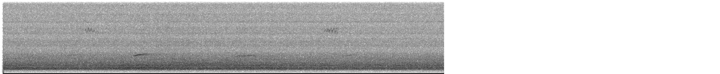 passerine sp. - ML658012976