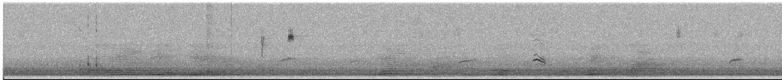 passerine sp. - ML658013238