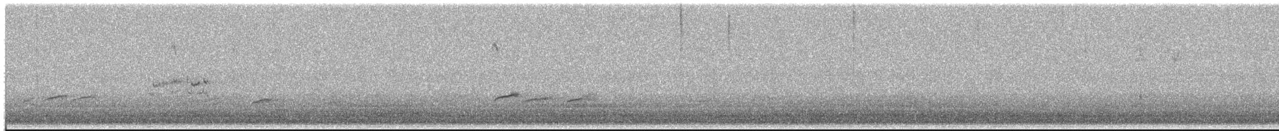 Least Sandpiper - ML658013346