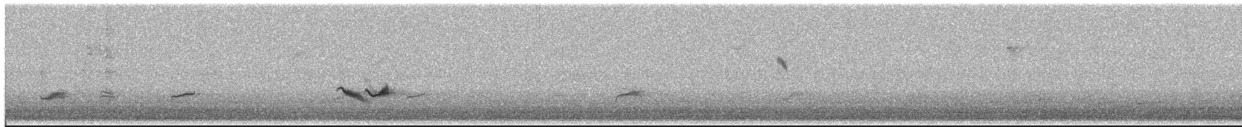 Veery - ML658013375