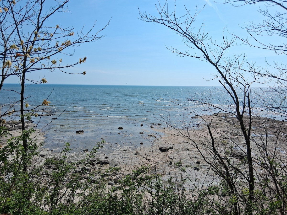 null - ML658013658