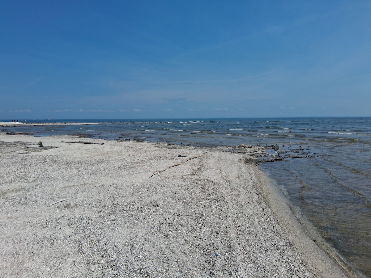 null - ML658013659