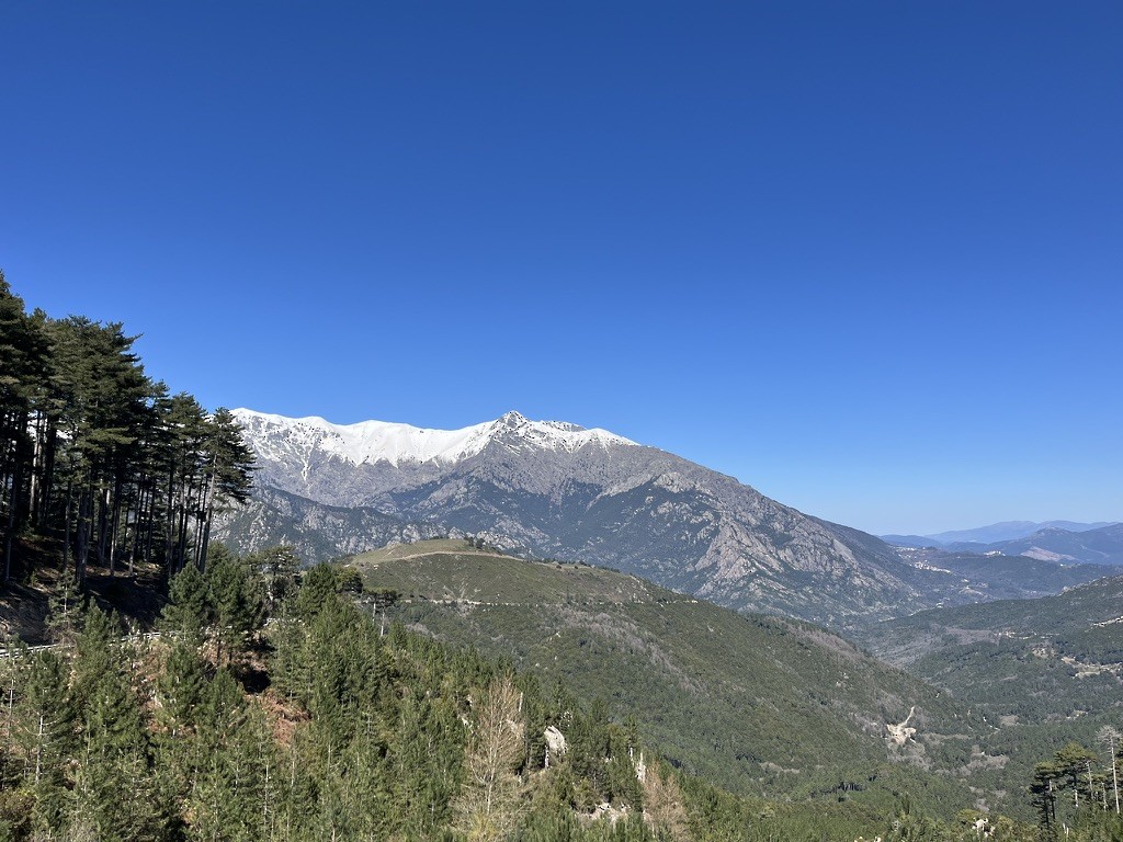 null - ML658038272