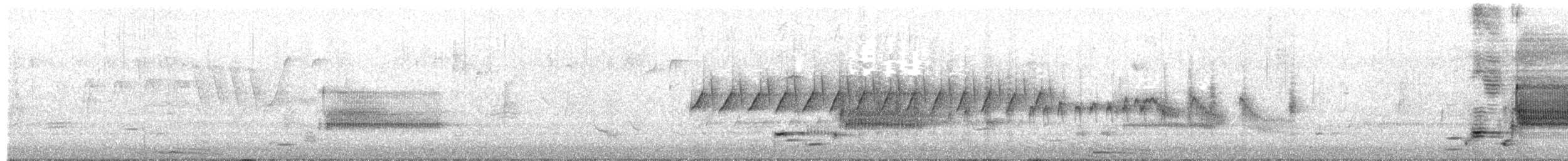 pygmérørdrum - ML658065033