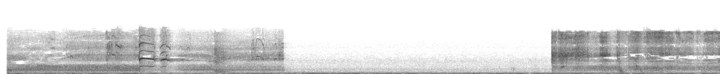 willetsnipe (semipalmata) - ML658070449