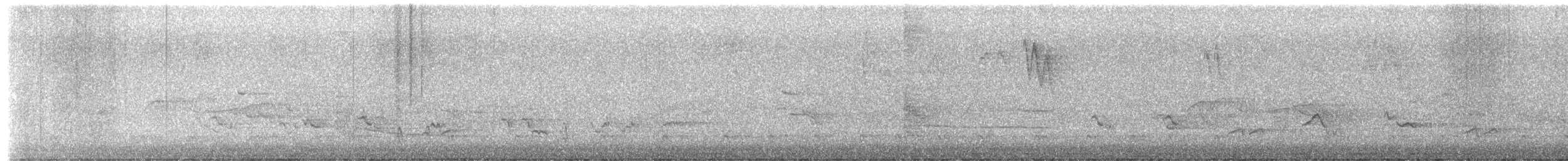 Pileated Woodpecker - ML658072350