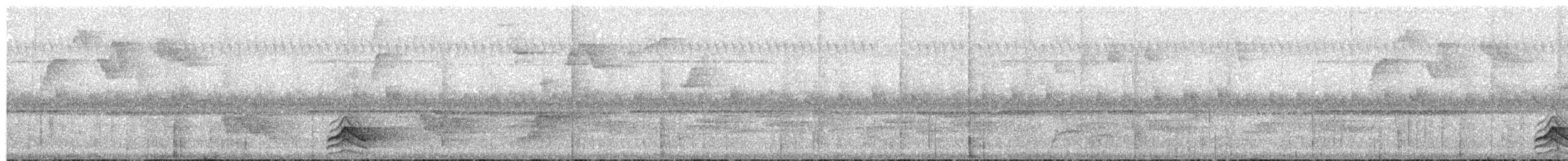 Tinamou à capuchon - ML65808501