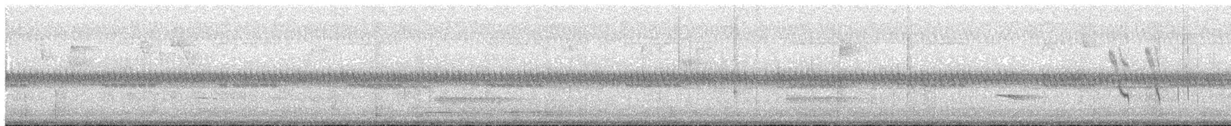 Colibri de Mulsant - ML65808601