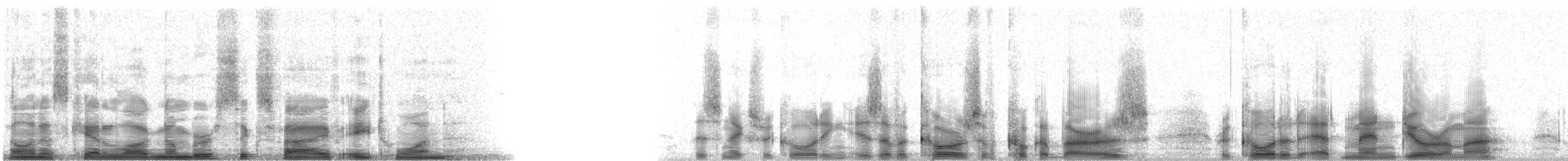 Laughing Kookaburra - ML6581