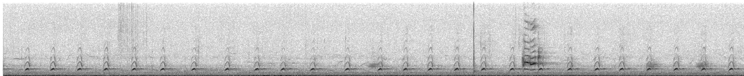 Spot-flanked Barbet - ML658102714