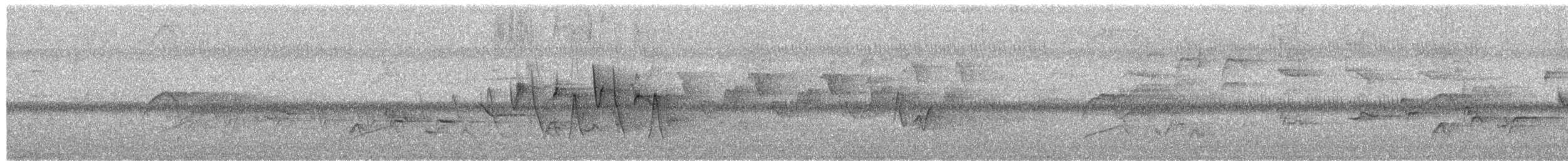 Connecticut Warbler - ML658122414