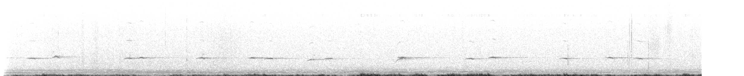 Townsend's Solitaire - ML658143073