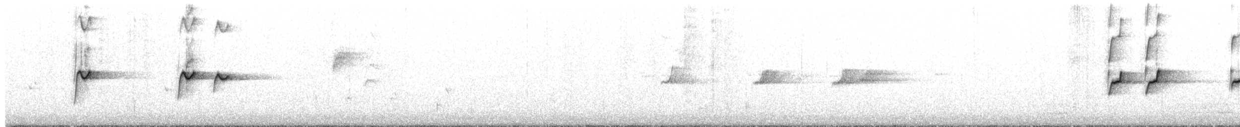 svarthettehonningeter - ML658176891