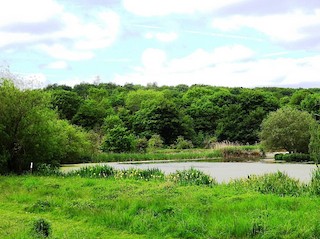 Rodley NR, West Yorkshire, England, United Kingdom - eBird Hotspot