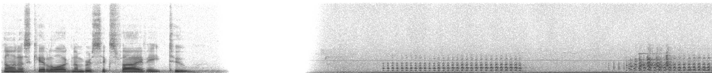 Laughing Kookaburra - ML6582