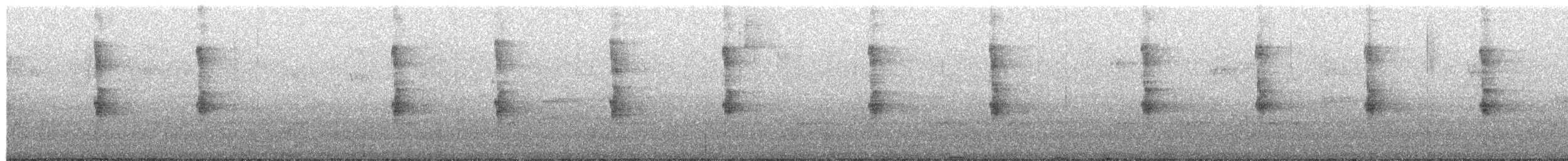 Mottle-cheeked Tyrannulet - ML658256574