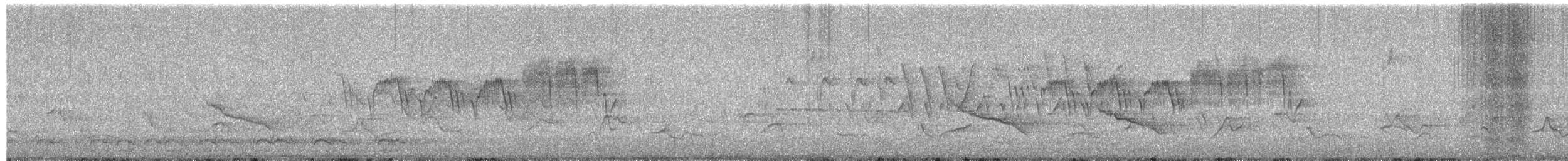 stryparula - ML658272759