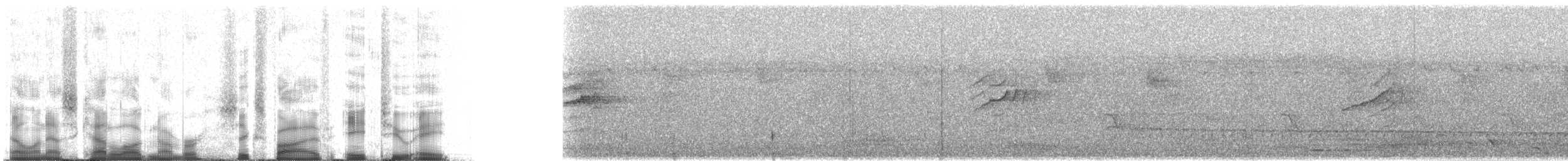 Grünstirn-Brillenvogel - ML65828