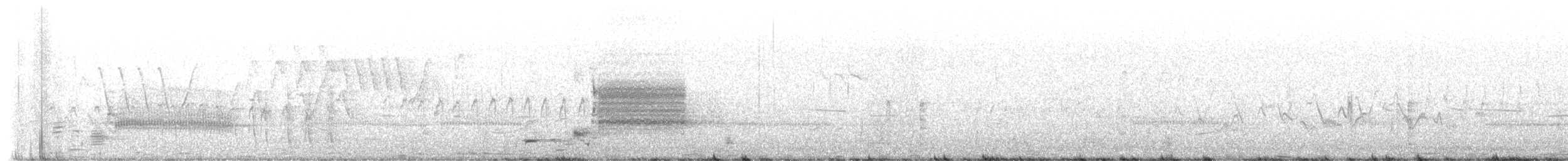 pygmérørdrum - ML658292198