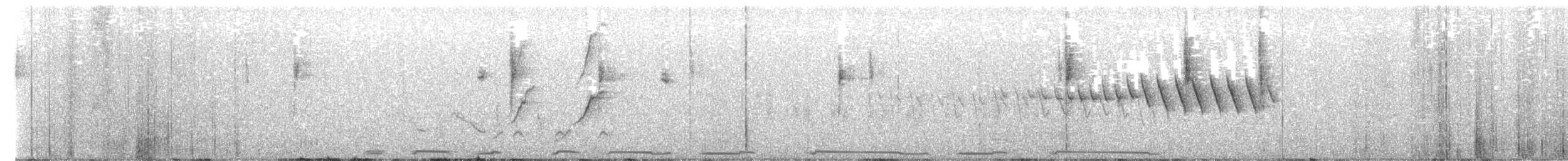 mesquiteparula - ML658295090