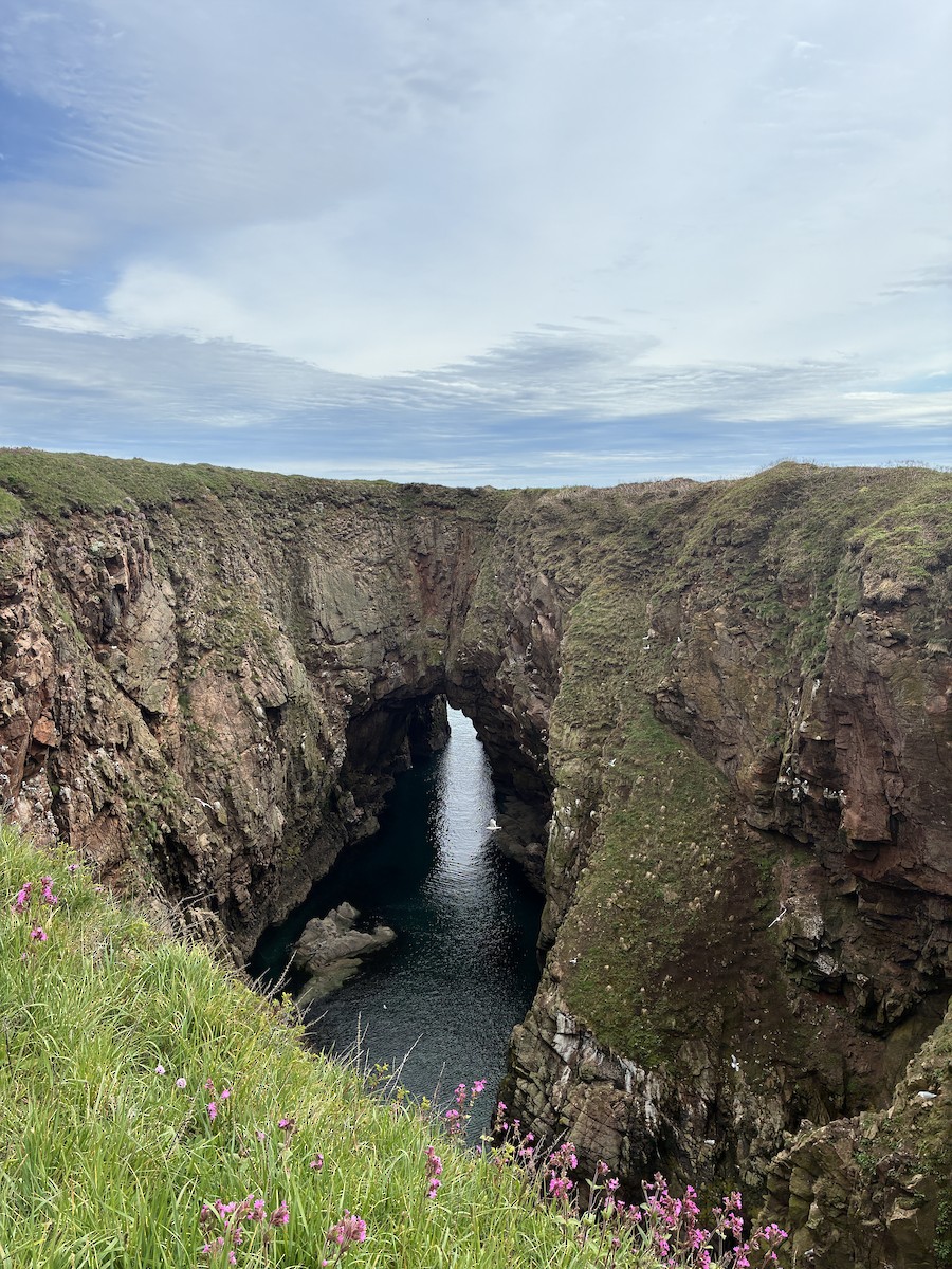 null - ML658308848