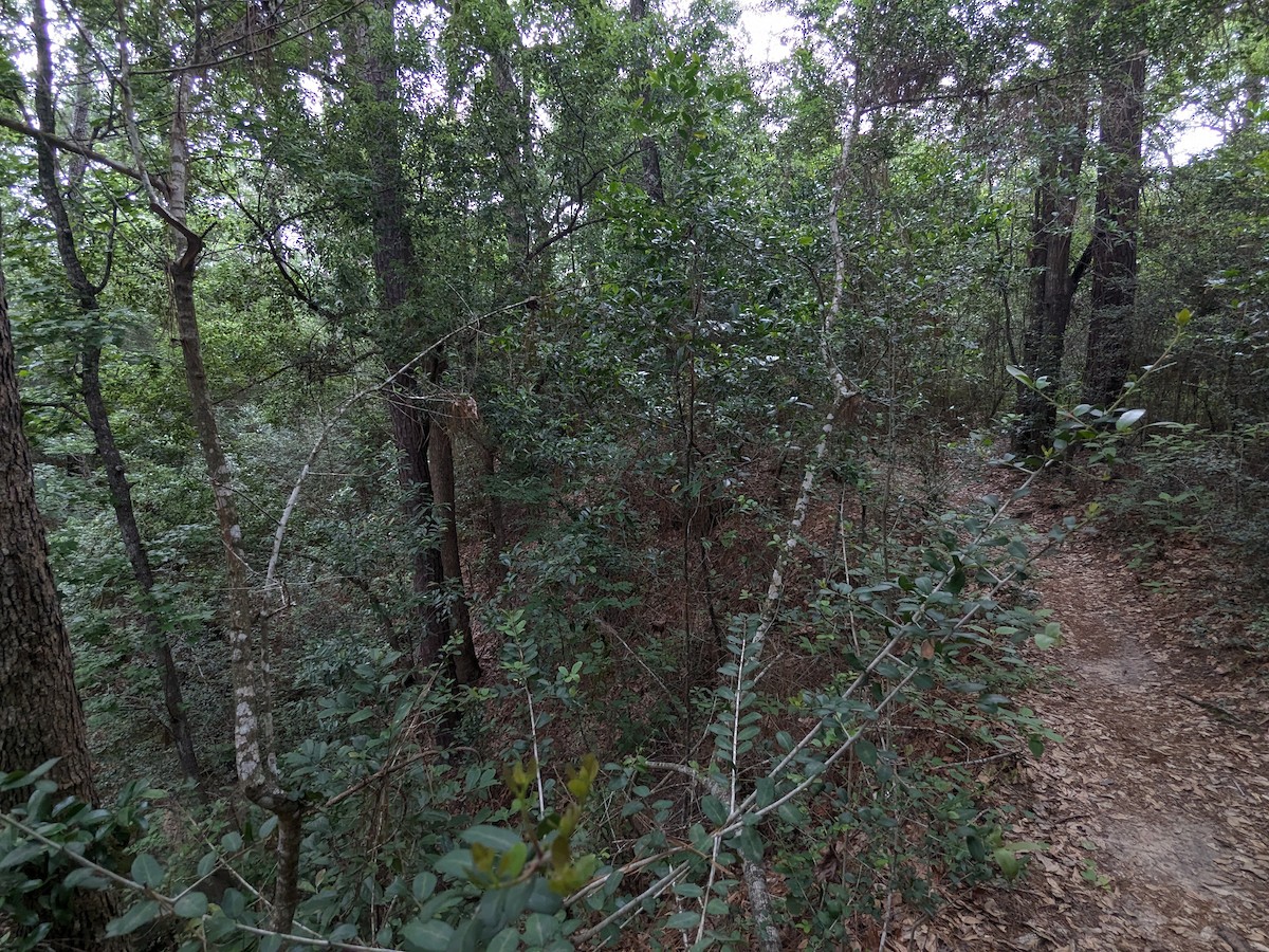 null - ML658331937