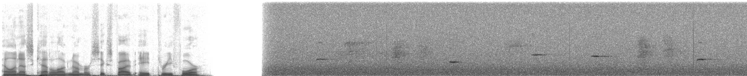 Kestane Karınlı Katmerkuyruk - ML65834