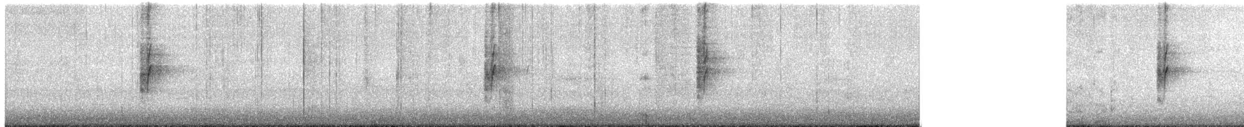 Carolina Wren - ML658365254