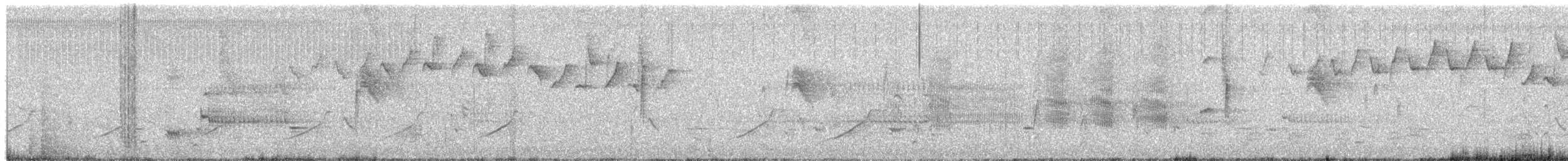 Black-and-white Warbler - ML658366177