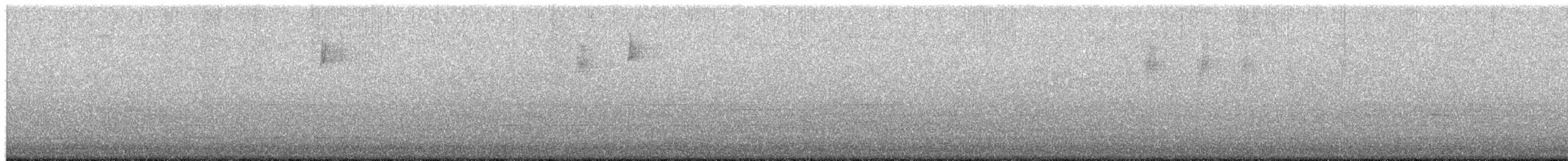 Bay-breasted Warbler - ML658369214