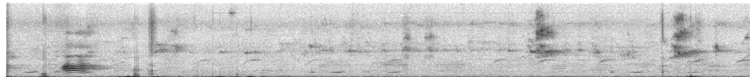 Torresian Crow - ML658418170
