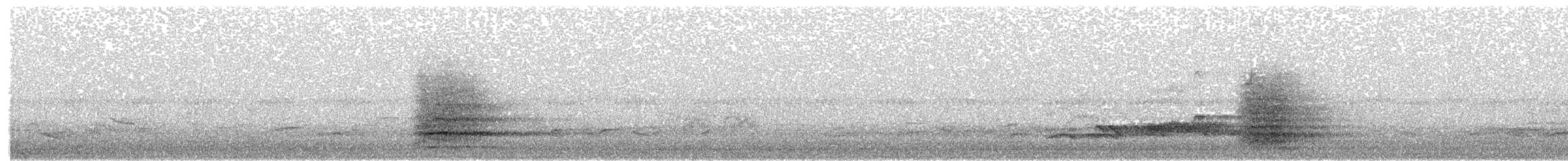 Gray Heron - ML658438347