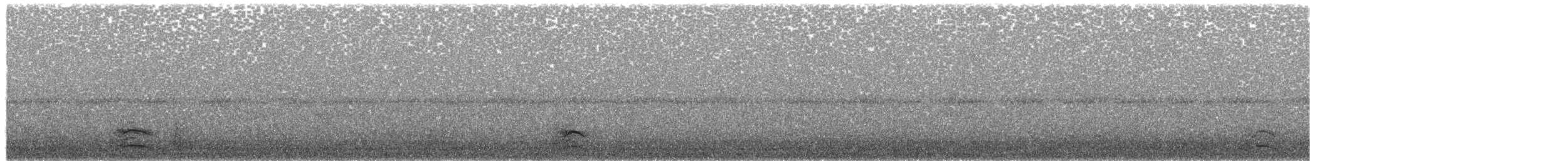 Gray Heron - ML658438348
