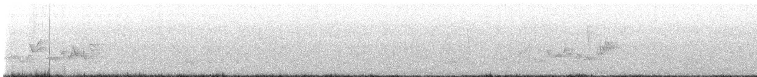 Eastern Warbling Vireo - ML658451828