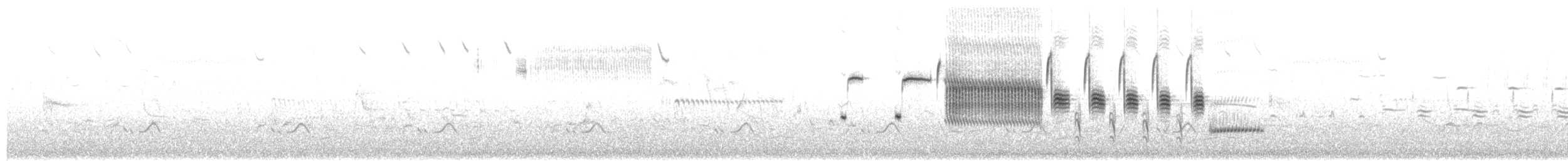 Song Sparrow (melodia/atlantica) - ML658463609