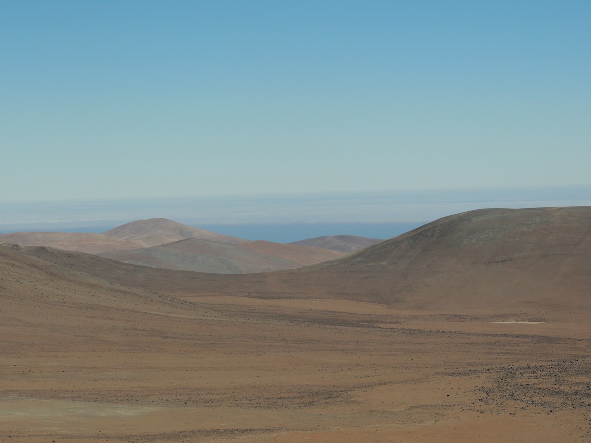 null - ML658464819