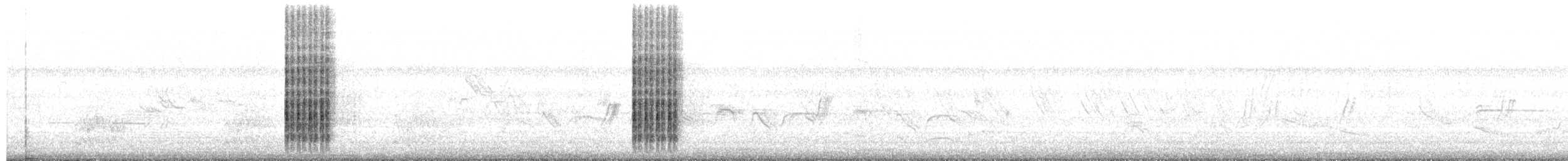Great-tailed Grackle - ML658466207