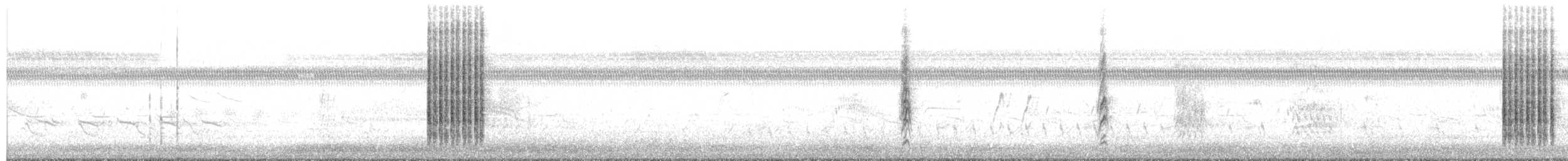 Great-tailed Grackle - ML658466208