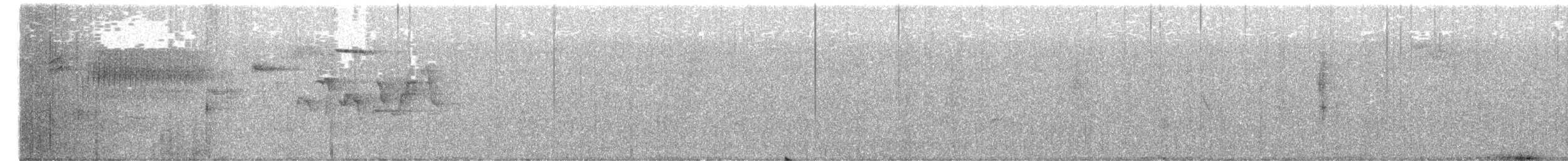 Magnolia Warbler - ML658471357