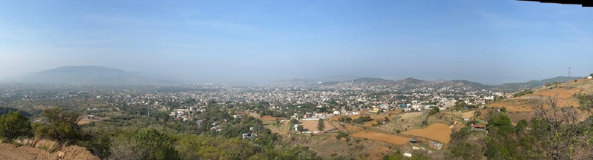 null - ML658476371
