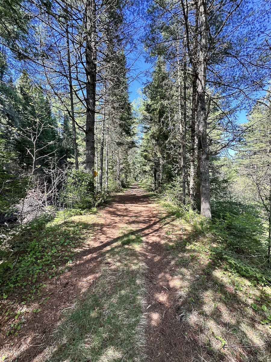 null - ML658481842